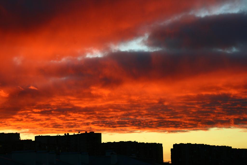 IMG_7130.JPG - Краски, краски...