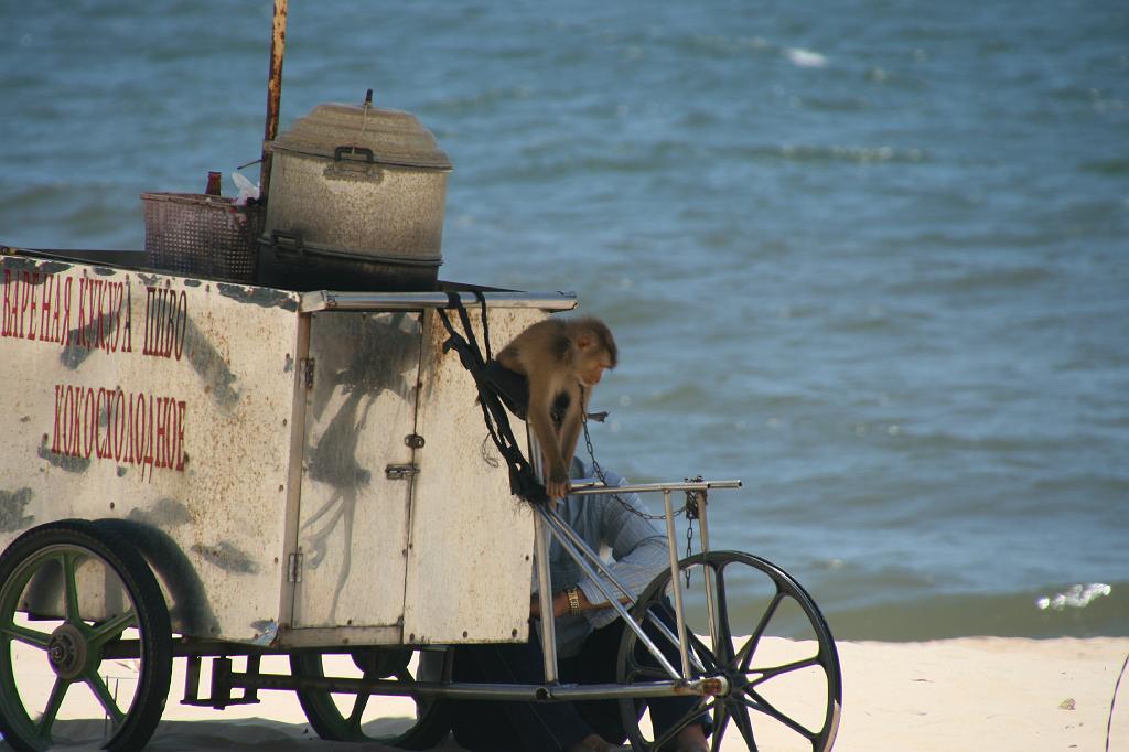 IMG_1089.JPG - по-русски все! порою забавно! :-)..