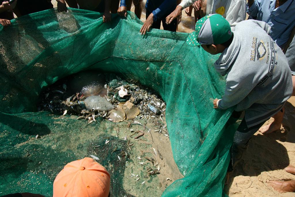 IMG_1169.JPG - Улов!!