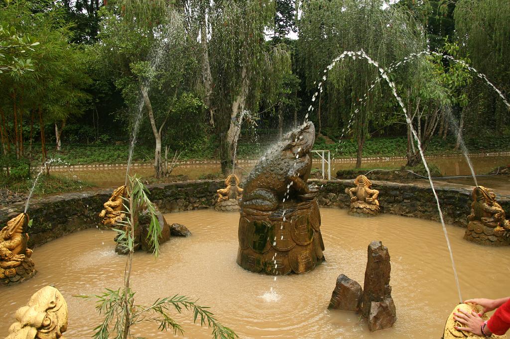 IMG_0758.JPG - жабы, как и везде - символ материального благополучия.