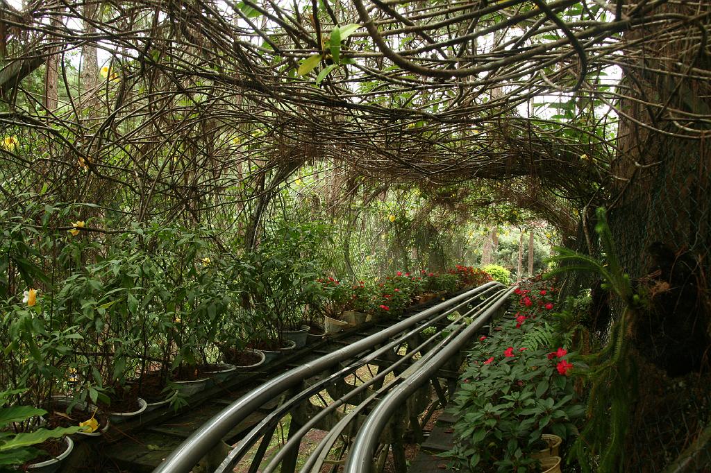 IMG_0801.JPG - "американские" горки по-вьетнамски!.