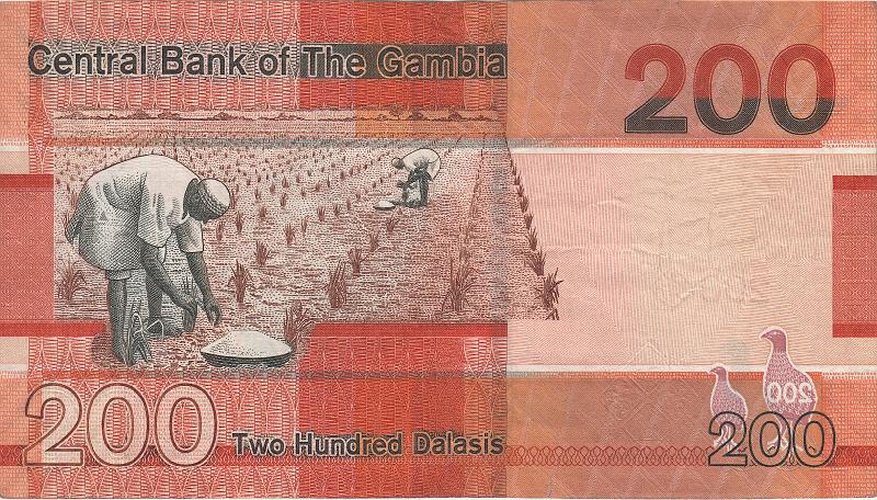 GMD_07_B.JPG - Gambia, 200 dalasis, XF.