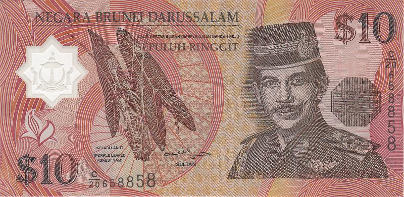 BRU_05_A.JPG - Бруней, 2008г., 10 долларов.