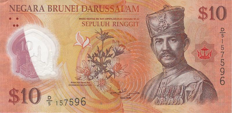 BRU_06_A.JPG - Бруней, 2011г., 10 долларов.