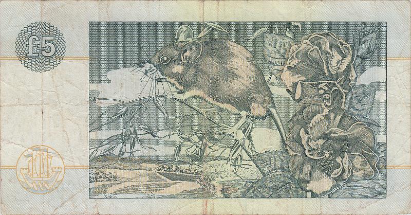 SCT_07_B.JPG - Scotland, (Clydesdale Bank), 5 pounds, VF.