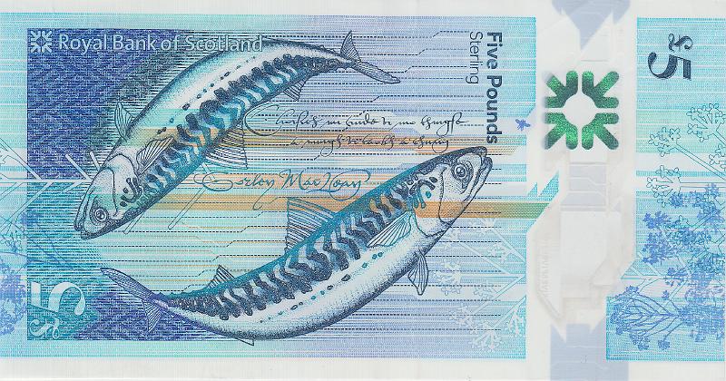 SCT_12_B.JPG - Scotland, (Tne Royal Bank of Scotland plc), 5 pounds, XF.