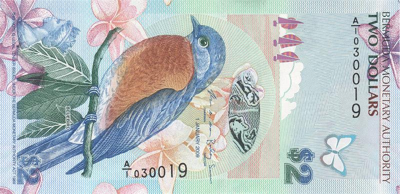 BRM_01_A.JPG - Бермуды, 2009г., 2 доллара.