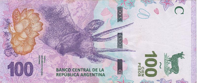 ARG_26_A.JPG - Аргентина, 2019(17)г., 100 песо.